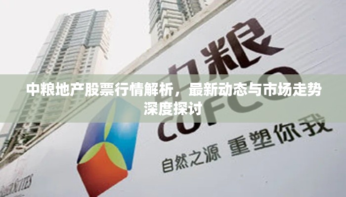 公司概况 第74页