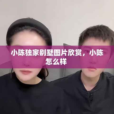 小陈独家别墅图片欣赏,小陈怎么样