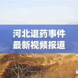 河北退药事件最新视频报道进展