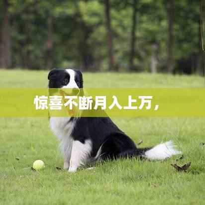 惊喜不断月入上万,