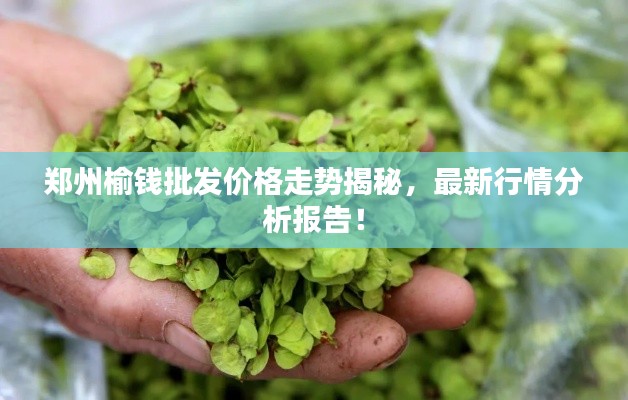 郑州榆钱批发价格走势揭秘,最新行情分析报告!