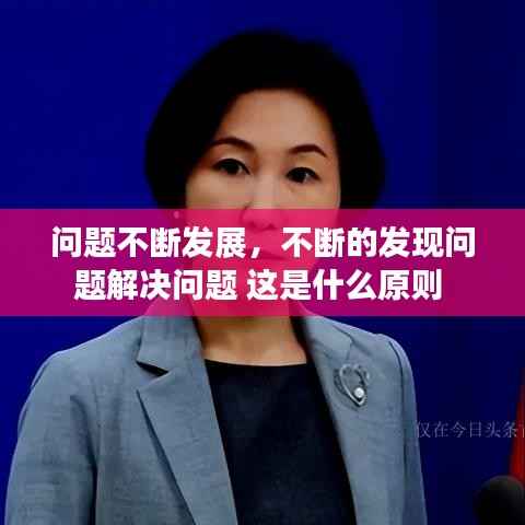 问题不断发展,不断的发现问题解决问题 这是什么原则