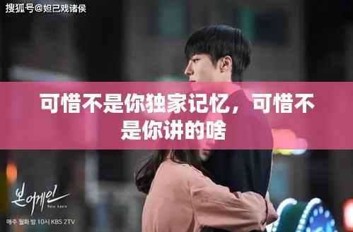 可惜不是你独家记忆,可惜不是你讲的啥