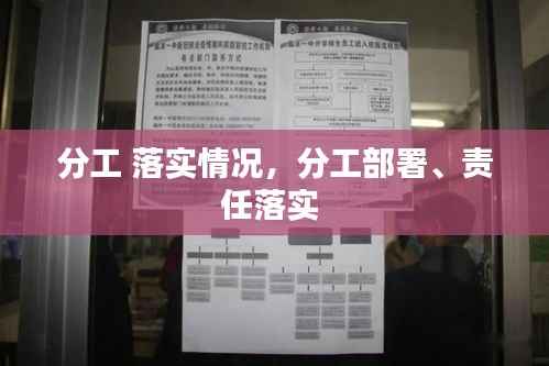 分工 落实情况,分工部署、责任落实