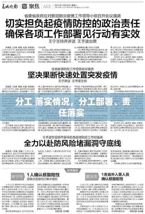 分工 落实情况,分工部署、责任落实