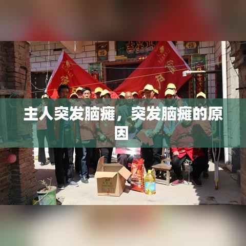 主人突发脑瘫,突发脑瘫的原因