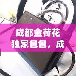 成都金荷花独家包包,成都金荷花批发价格表