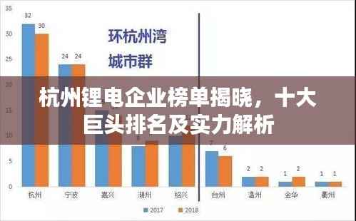 杭州锂电企业榜单揭晓，十大巨头排名及实力解析