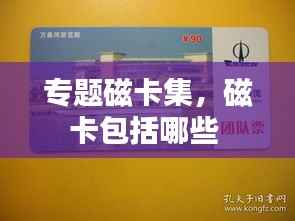 专题磁卡集,磁卡包括哪些
