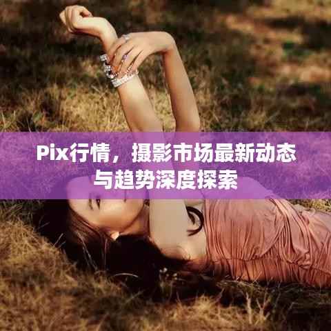Pix行情，摄影市场最新动态与趋势深度探索