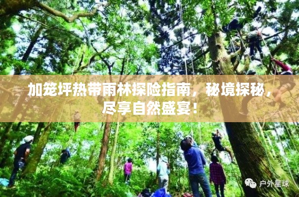 加笼坪热带雨林探险指南,秘境探秘,尽享自然盛宴!