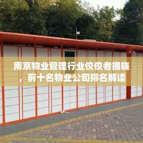 南京物业管理行业佼佼者揭晓,前十名物业公司排名解读