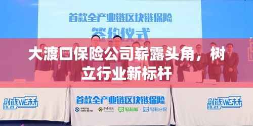 大渡口保险公司崭露头角,树立行业新标杆