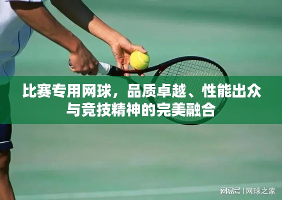 比赛专用网球，品质卓越、性能出众与竞技精神的完美融合