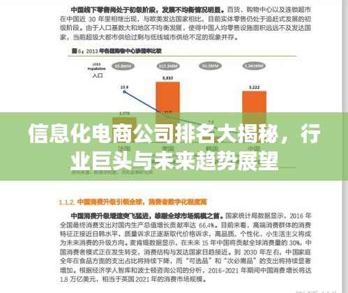 信息化电商公司排名大揭秘，行业巨头与未来趋势展望