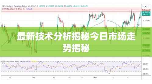 最新技术分析揭秘今日市场走势揭秘