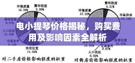 电小提琴价格揭秘,购买费用及影响因素全解析