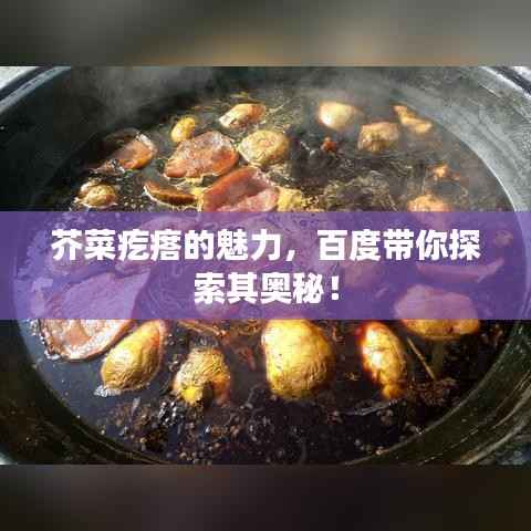 公司概况 第51页