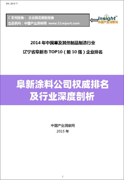 阜新涂料公司权威排名及行业深度剖析