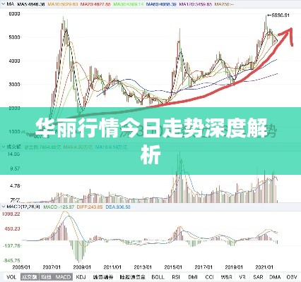 将机就机 第2页