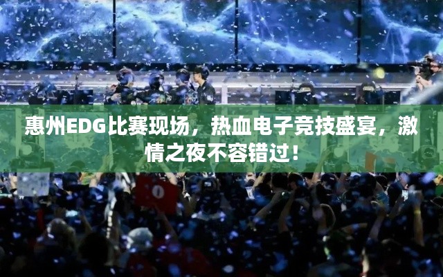 惠州EDG比赛现场,热血电子竞技盛宴,激情之夜不容错过!